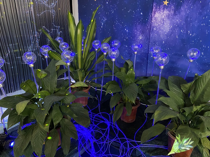  Fiber optic landscape lights 