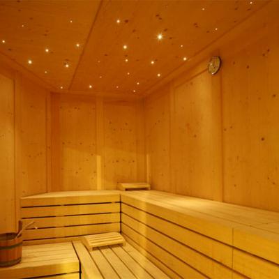 Fiber Optic Sauna Star Ceiling Kit